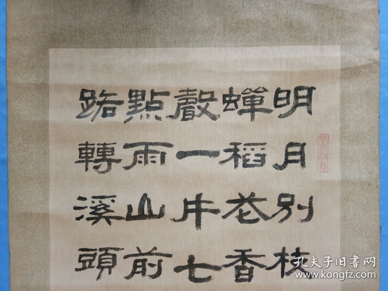 别枝最新章，探索未知，开启新篇章