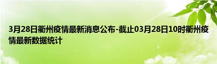 衢州最新确诊病例分析与解读